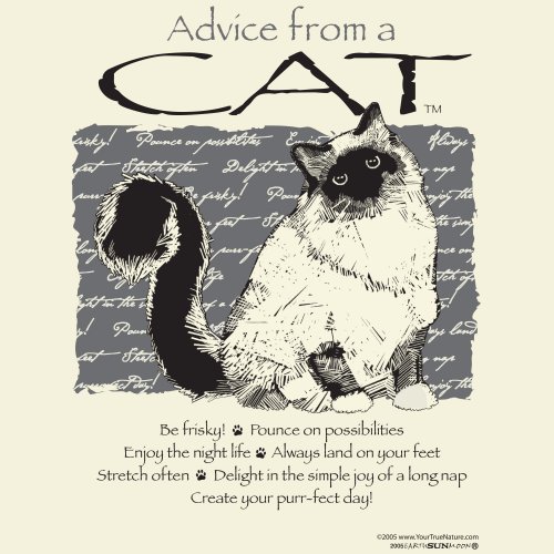 Advice From A Cat