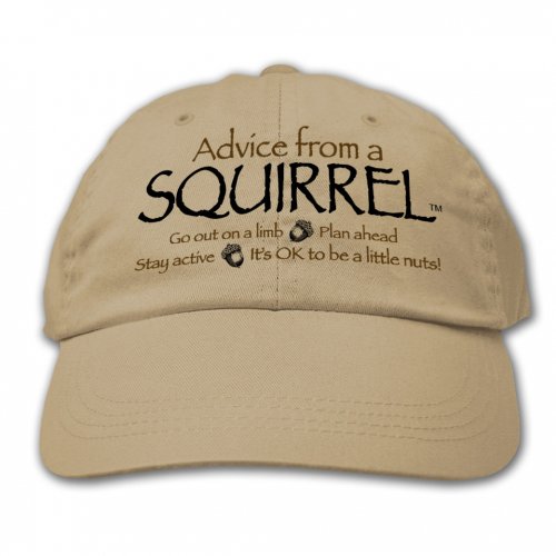 Advice From A Squirrel