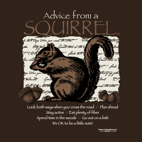 Advice From A Squirrel