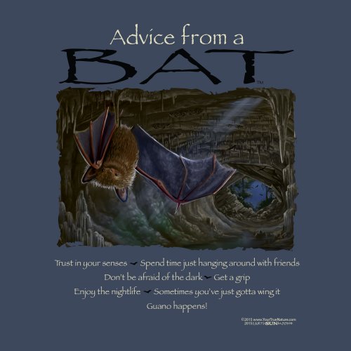 Advice From A Bat