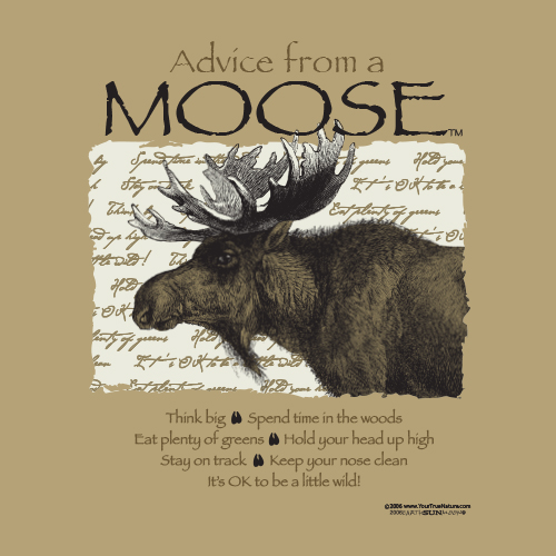 Advice From A Moose