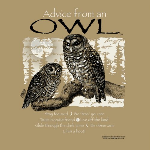 Advice From An Owl