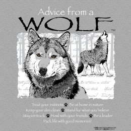 Sports Grey Advice From A Wolf T-Shirt 