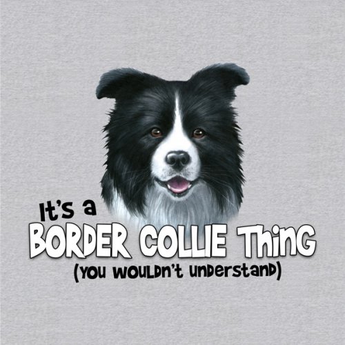 Border Collie Thing