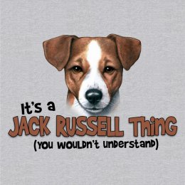 Sports Grey Jack Russell Thing T-Shirt 