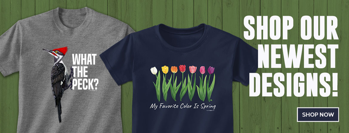New Designs